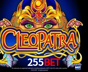 255bet: A Experiência de Casino com Jogos de Mesa ao Vivo
